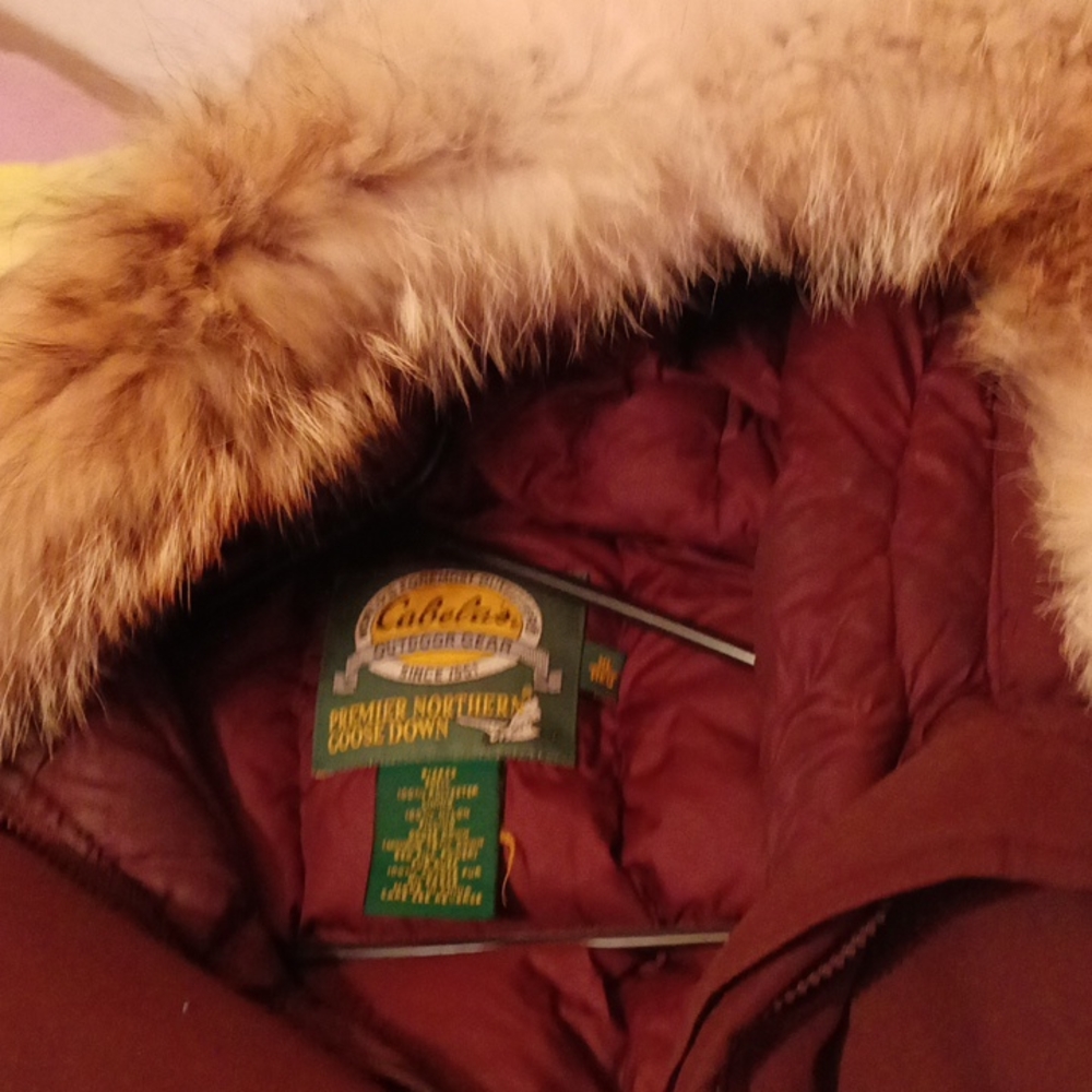 Cabela's Premier Northern Goose down